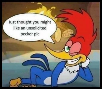 Woody.jpg
