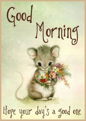 Goodmorning mouse.jpg
