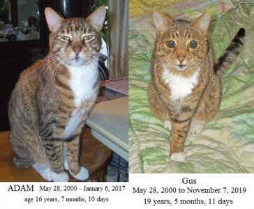 Adam and Gus.jpg