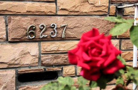 Number 6237 @.jpg