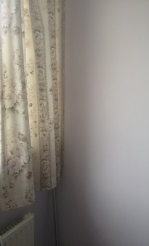 Dove grey 001.JPG