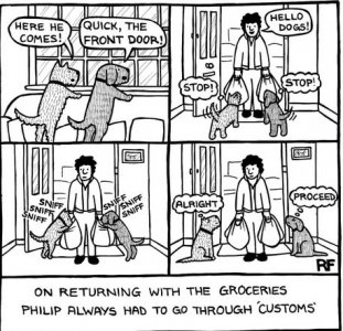 customs.jpg