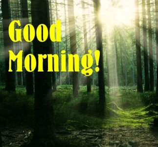 Good Morning.jpg
