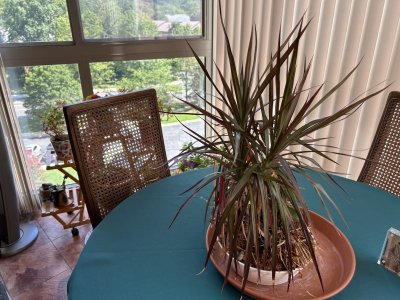 IMG_1318.jpeg