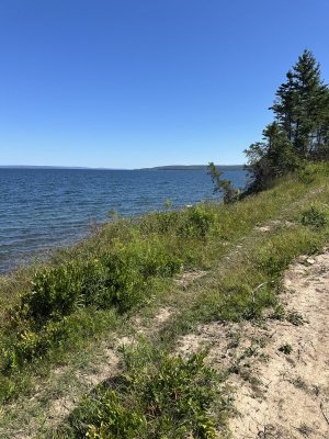 IMG_9993.jpeg