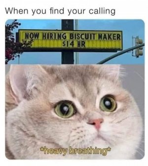 485395571_8728969430538297_4981359908303897403_n.jpg