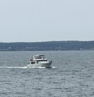 IMG_0056.jpeg
