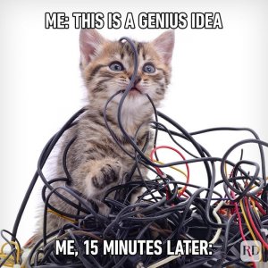 Hilarious-Cat-Memes-10.jpg