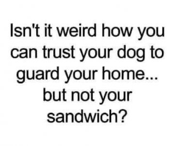 FB_IMG_1754446678641.jpg