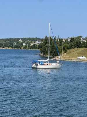 IMG_0072.jpeg