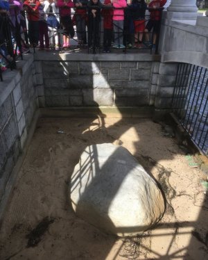 rock.JPG