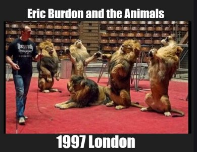 animals.jpg