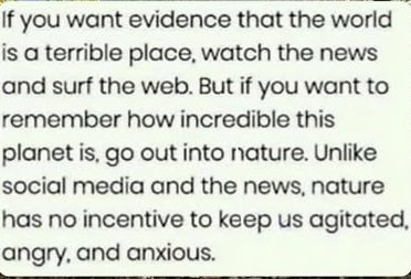 lose the news.jpeg
