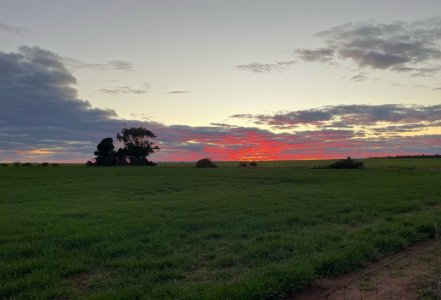 IMG_0651.jpeg