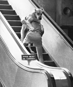 Escalator @.jpg
