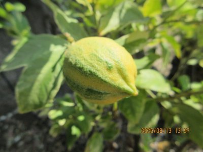 IMG_0734.JPG