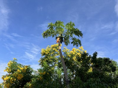 IMG_2139.JPEG