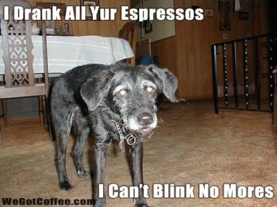IMG_2418.jpeg