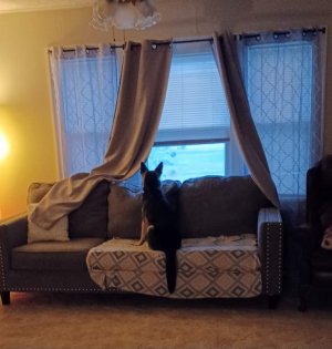 20230818_065715.jpg