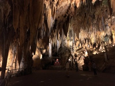 IMG_8226.JPG