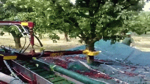 1755195083945.gif