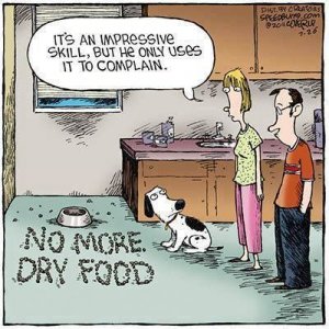 9bf80fd4fd411d7cb435fff616f479f4--pet-humor-dog-funnies.jpg