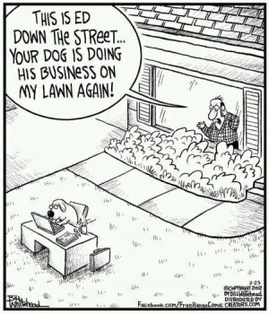 11f71740c53944fd40f374fcebb9cb48--dog-humor-humour.jpg