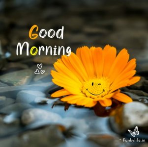 good-morning-images-101-3945701962.jpg