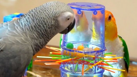 Kerplunk @.jpg