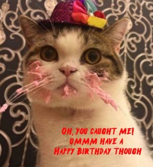 SF-HappyBday.jpg