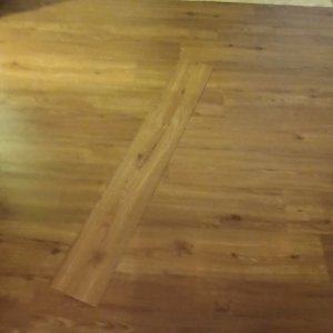 20250815_014525.jpg