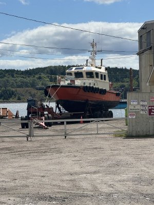 IMG_0155.jpeg