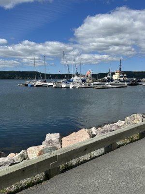 IMG_0156.jpeg
