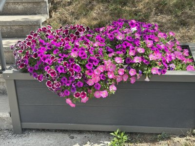 IMG_0154.jpeg