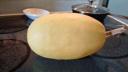 Spaghetti Squash.jpeg