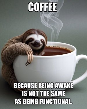 93f3fce8505d33955822c29d3a8cac11.jpg