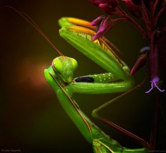 14-vivid-color-colorful-photography.jpg