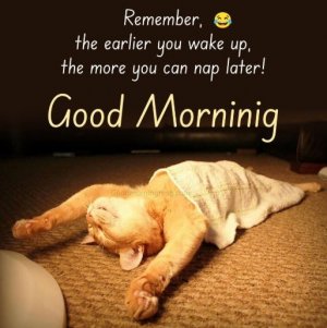 catnap.JPG