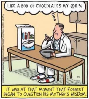 gump.jpg