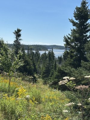 IMG_0160.jpeg
