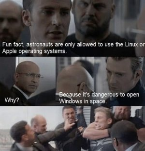 IMG_2401.jpeg