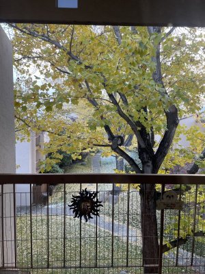 IMG_0475.jpeg