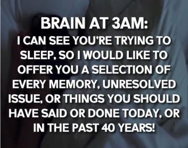 515508795_1153407246826648_2840137313352618914_n.jpg