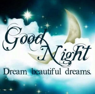 gNight1.JPG