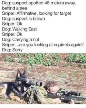 IMG_1039.jpeg