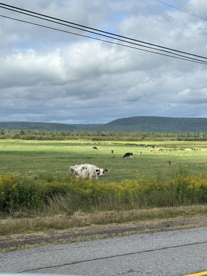 IMG_0168.jpeg