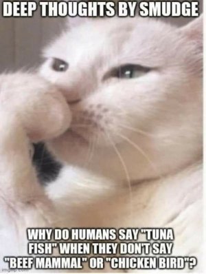 0.jpg
