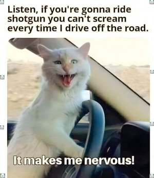 FB_IMG_1755301179903.jpg