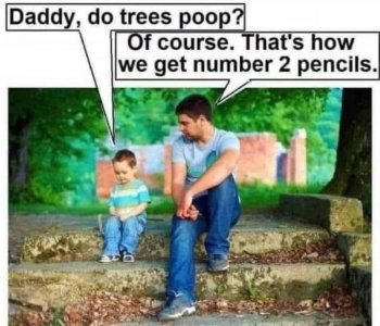 IMG_2377.jpeg