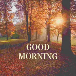 good-morning-pic-new-1794146936.jpg